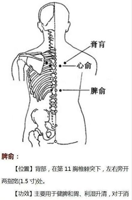 老中医：这9个穴位可治病（详细图解），非常实用，记得收藏