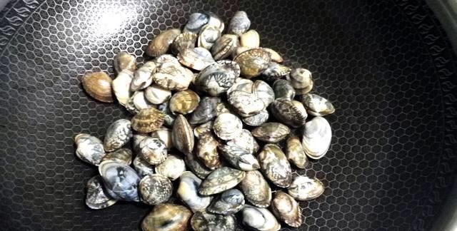 明蛤的做法大全,文蛤豆腐汤的做法图1
