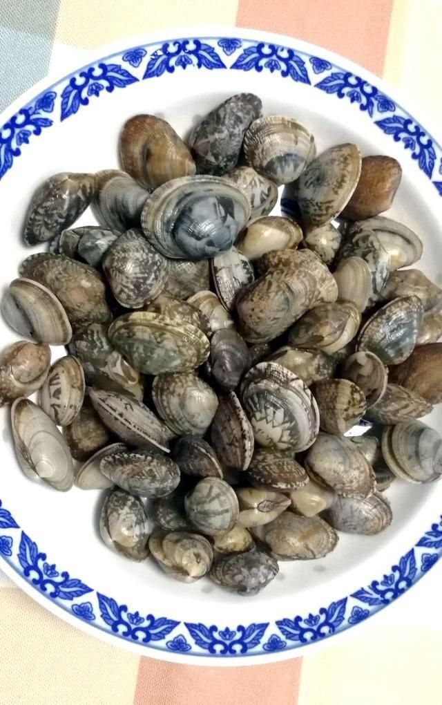 明蛤的做法大全,文蛤豆腐汤的做法图2
