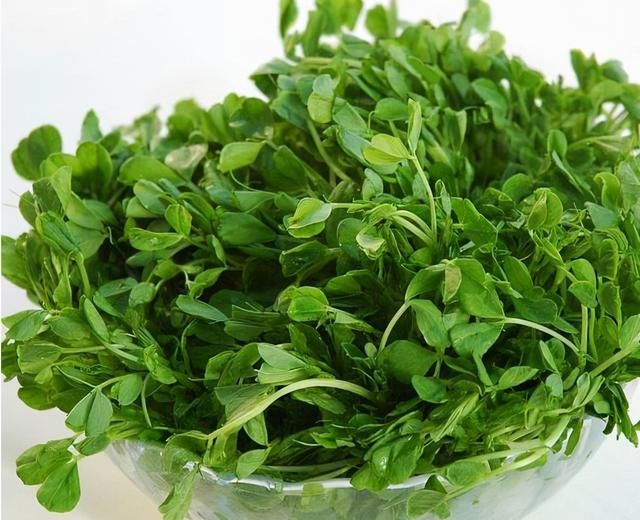 农村这种菜，价比榴莲高，味重超臭豆腐，神奇的香椿籽有啥大用途