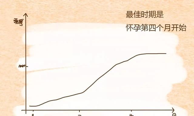 孕妇钙一般怀孕几个月就可以补了图1