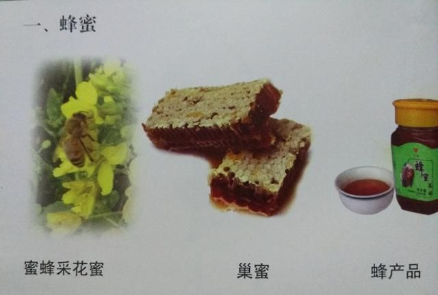 蜂蜜入药之功有五(炼蜜与蜂蜜入药哪个好)图2