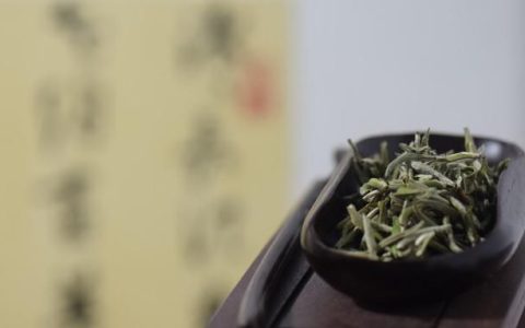 老白茶喝了有什么好处