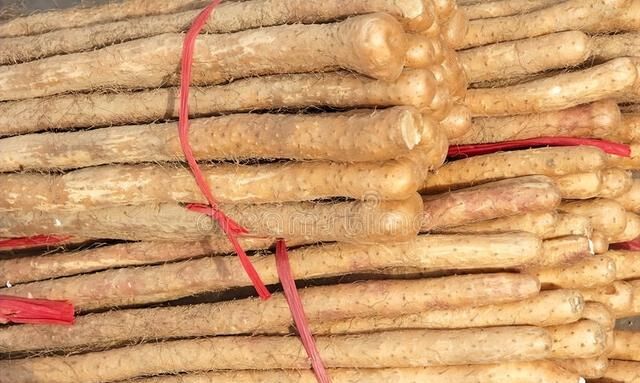 三伏天温度高！建议常备这5种食物，营养美味还不贵，天天吃不腻