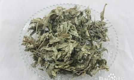 如何用艾草制成艾条(怎样用艾草制作艾条)图1
