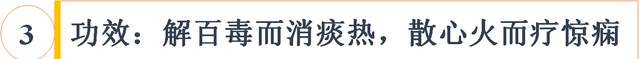 中药丑宝之牛黄：胆结石也是药？解百毒而消痰热，散心火而疗惊痫