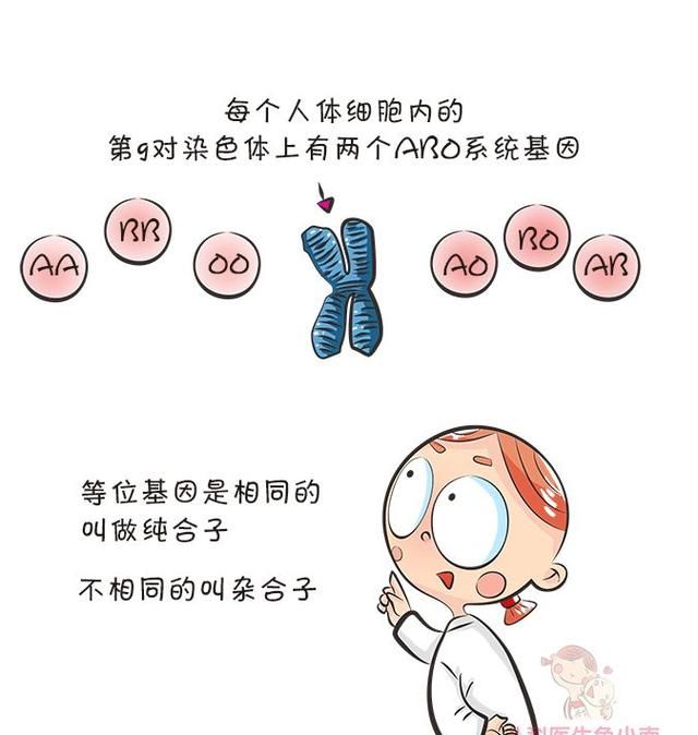爸爸A型血妈妈B型血，宝宝血型是啥？这份血型遗传规律表请收好