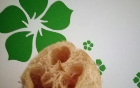 丝瓜络洗碗的功效与作用