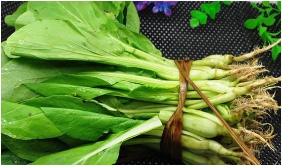 吃什么蔬菜能补钙(吃蔬菜补钙靠谱吗)图6