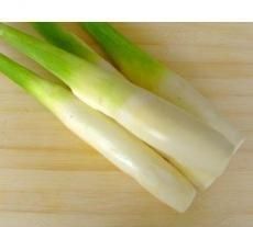 吃什么蔬菜能补钙(吃蔬菜补钙靠谱吗)图8
