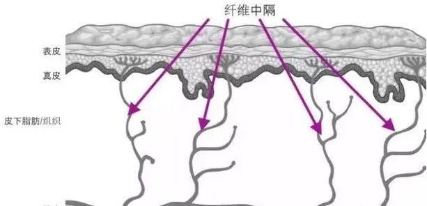 热玛吉的效果怎么样图6