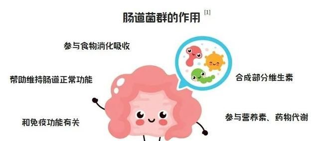 不懂就问：几天拉一次才是正常的？