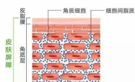 洗面奶有必要买多种功效的吗图8