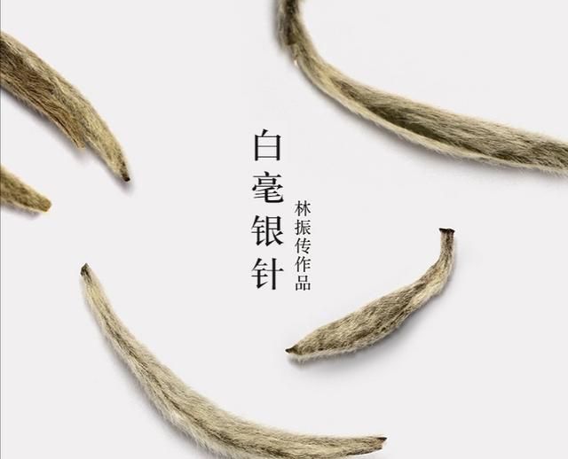 福鼎白茶好喝吗(荒野福鼎白茶好喝吗)图2