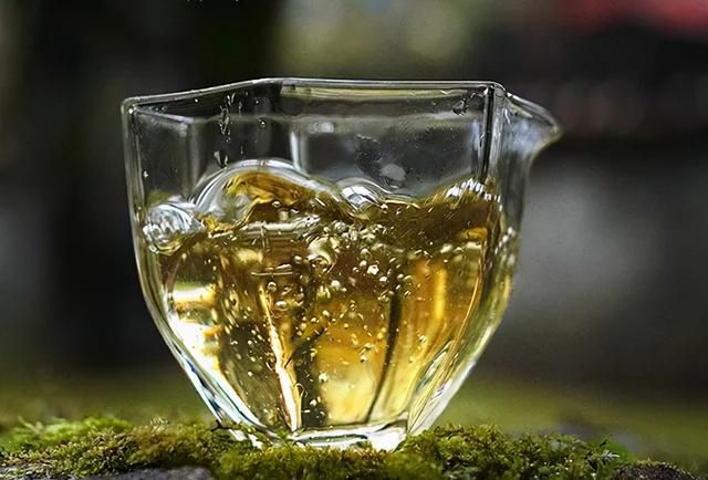 福鼎白茶好喝吗(荒野福鼎白茶好喝吗)图10