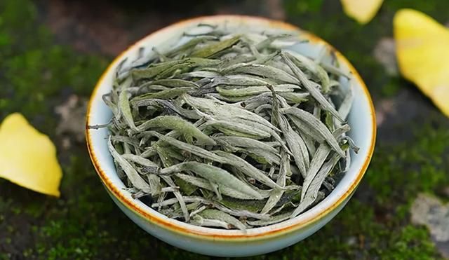 福鼎白茶好喝吗(荒野福鼎白茶好喝吗)图12