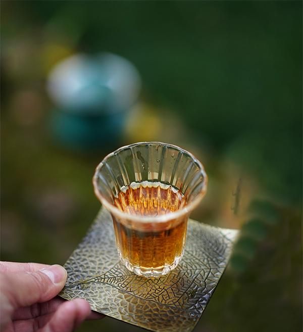 福鼎白茶好喝吗(荒野福鼎白茶好喝吗)图13