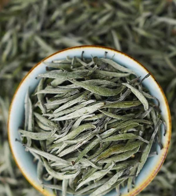 福鼎白茶好喝吗(荒野福鼎白茶好喝吗)图15