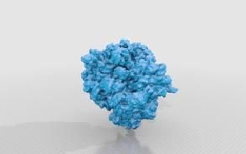 科学家首次揭示核糖体的发展史