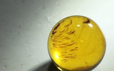 琥珀蜜蜡有什么功效与作用