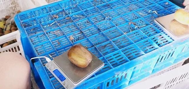 水果三大品级：有机水果、绿色水果、无公害水果，你分的清吗？