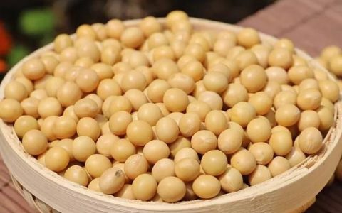 大豆大豆磷脂软胶囊的功效,大豆有什么功效呢