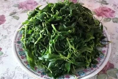 农村野菜扫帚苗有哪些吃法呢,山上的野菜扫帚苗有什么营养图6