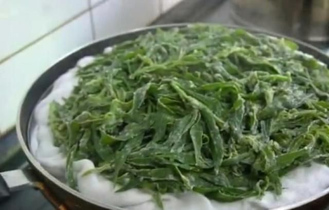 农村野菜扫帚苗有哪些吃法呢,山上的野菜扫帚苗有什么营养图8