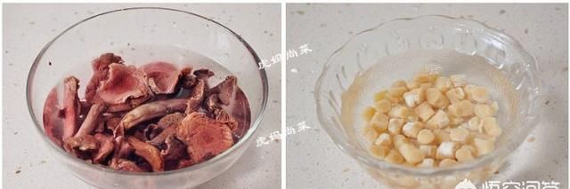 红菇怎么做好吃呢(红菇炖排骨怎么炖好吃)图6