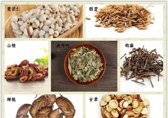 小儿七星茶孩子可以服用吗(小儿七星茶糖浆宝宝要服用多久)图3