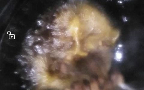 孜然麻辣鸡块的做法有哪些窍门,孜然麻辣鸡心最正宗的做法