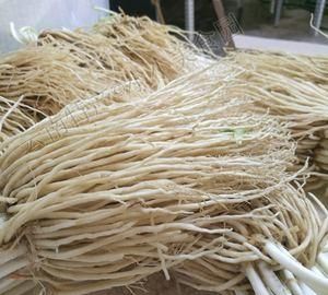 经常吃韭菜根好吗有啥功效,韭菜根加红糖功效与作用图2