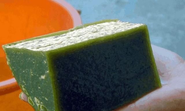 哪里有野生的神仙豆腐树图3
