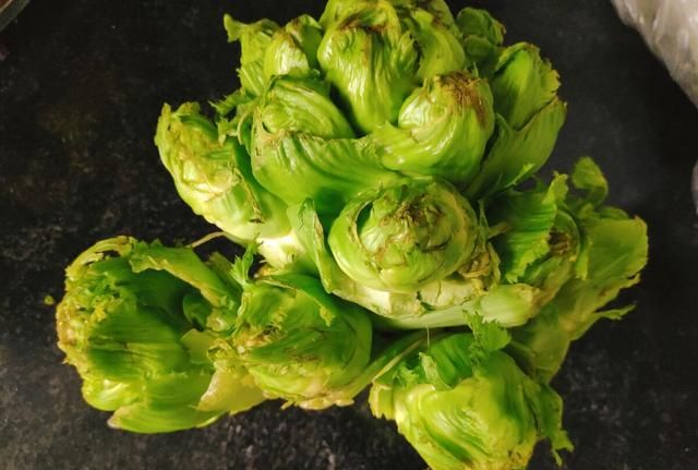 芥菜种植注意什么图3