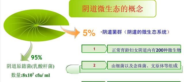 阴道微生态与AV、BV、CV的诊断治疗