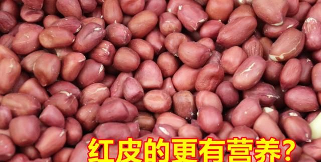 生活小知识，红皮花生米和白皮花生米，哪一个更有营养？