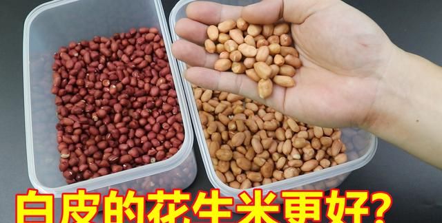 生活小知识，红皮花生米和白皮花生米，哪一个更有营养？