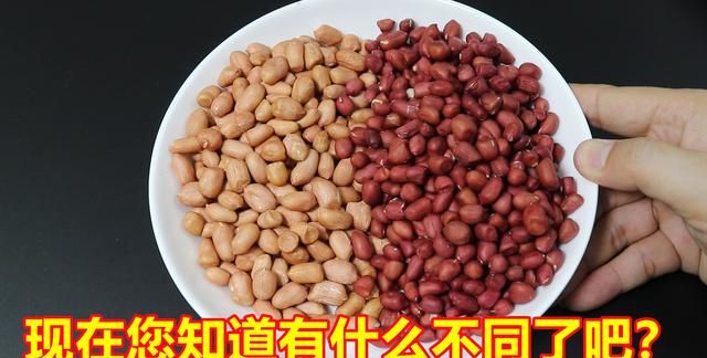 生活小知识，红皮花生米和白皮花生米，哪一个更有营养？