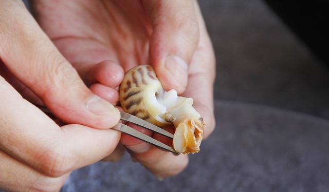 花螺的做法除了白灼，这样做香味四溢，香味直溜溜串进鼻子