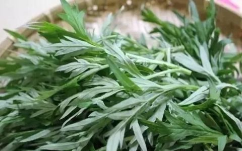 艾草煮水给猪喝有什么功效,艾草煮水喂猪有何功效