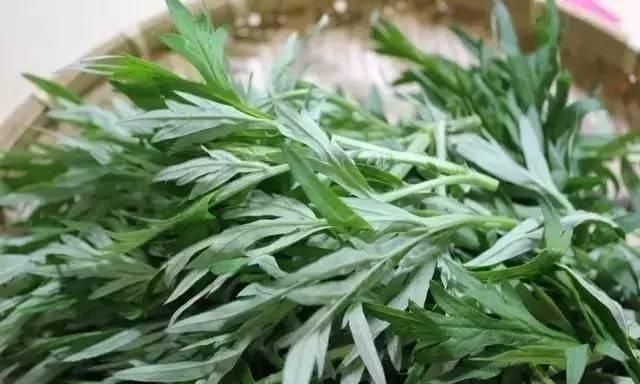 艾草煮水给猪喝有什么功效,艾草煮水喂猪有何功效图1