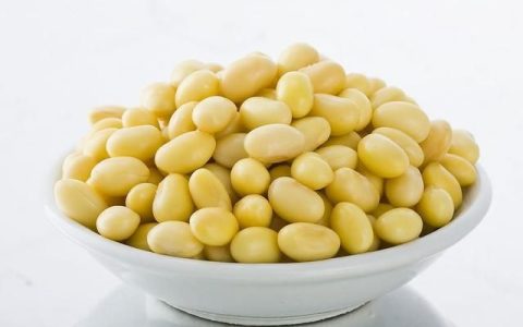 大豆有什么特殊的功效