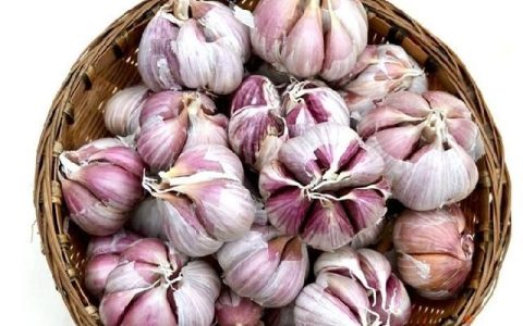 大蒜煮水有什么效果,大蒜煮水的正确做法