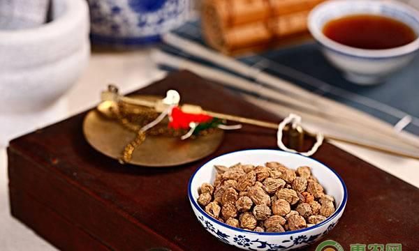 2019年砂仁果市场价格多少钱一斤？有哪些食用方法与作用？