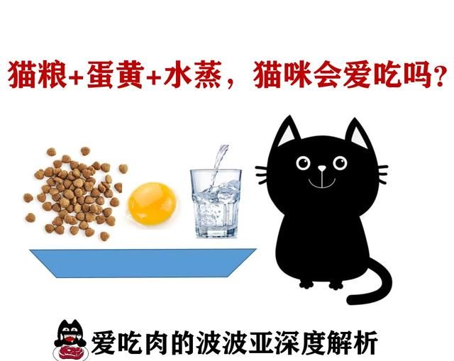 三个月小猫，喂go九种肉的猫粮，但是猫咪不爱吃猫粮，能把猫粮和鸡蛋黄加水搅匀一起蒸吗图1
