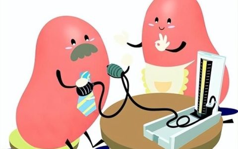 高血压和肾病有什么关系(高血压肾病与肾脏衰竭有什么区别)