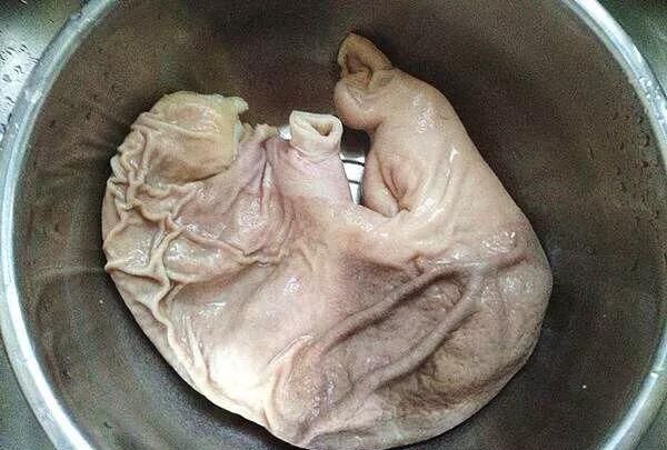 猪肚怎么做才好吃,猪肚菇怎么做好吃图6