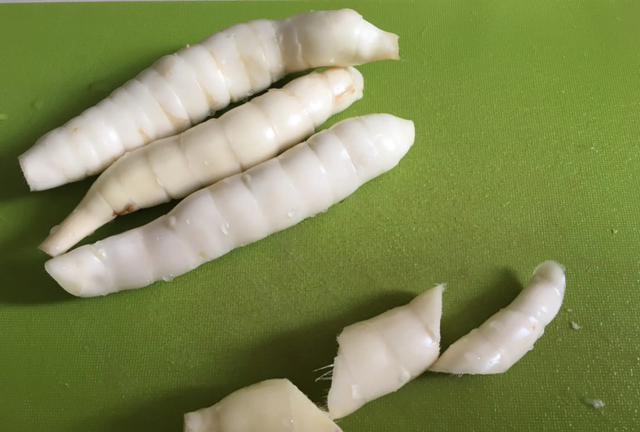一种长得像冬笋的罕见食物：冬粉薯，它是润肺的佳品