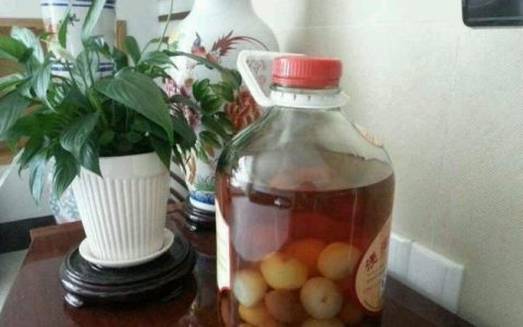 荔枝泡高粱酒功效与作用