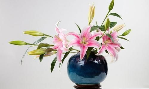 扦花水添加什么,花水怎么改良最好图6